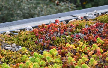 the cost of Skerray green roof installation