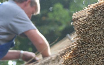 professional Skerray thatchers