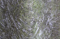 Skerray fibreglass roof work